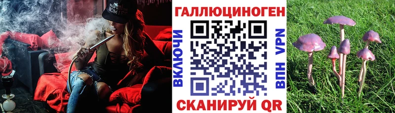 Купить  Бирск  Псилоцибиновые грибы Psilocybe 